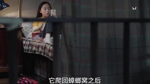 失踪孩子神秘人爆料视频,神秘人视频揭秘失踪孩子案件背后惊人真相 第1张 失踪孩子神秘人爆料视频,神秘人视频揭秘失踪孩子案件背后惊人真相 第1张