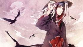 新春鼬爆料视频大全最新,揭秘娱乐圈最新动态 第1张 新春鼬爆料视频大全最新,揭秘娱乐圈最新动态 第1张